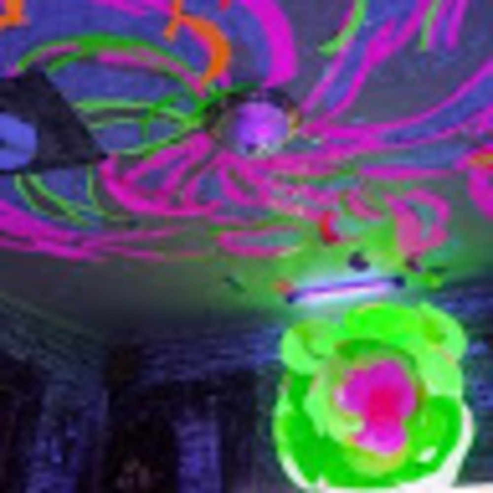 Meet your Posher, Shay